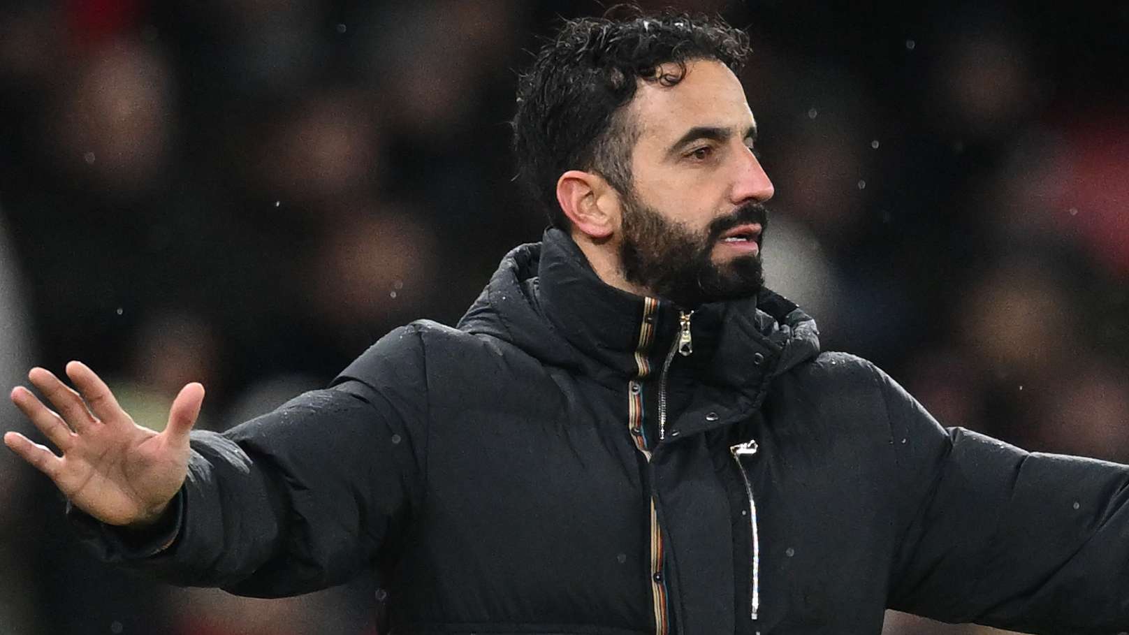 哈里森的管 哈里森的管